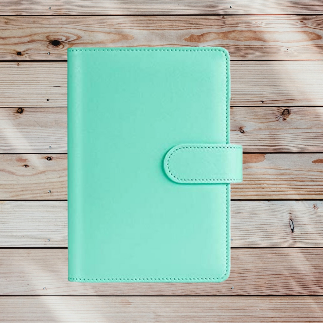 Mint Budget Binder